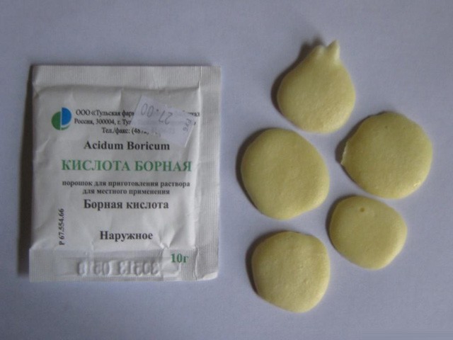 bornaya-kislota-ot-tarakanov-1 (1)